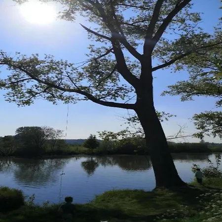 In Cul-des-sarts Near Forest