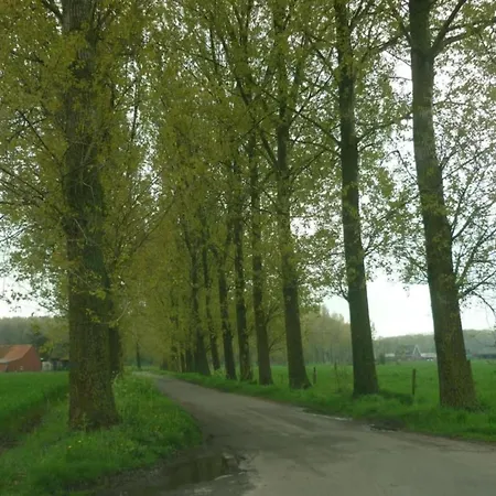 In Cul-des-sarts Near Forest Дом отдыха Riezes