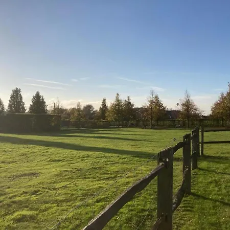 In Cul-des-sarts Near Forest Riezes