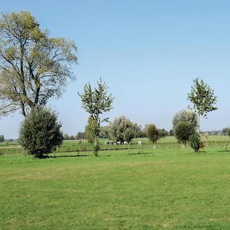 Modern In Cul-des-sarts Near Forest Holiday home *
