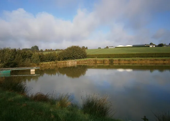 In Cul-des-sarts Near Forest Riezes