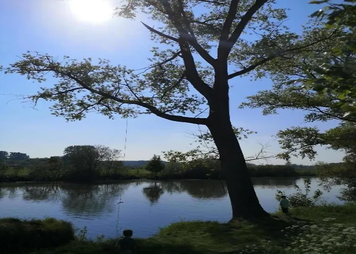 In Cul-des-sarts Near Forest