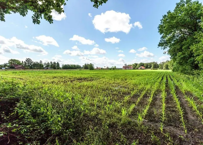 度假居 In Cul-des-sarts Near Forest *