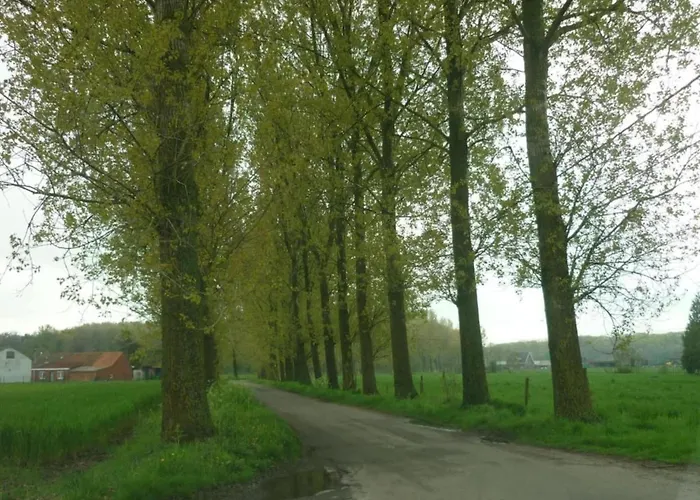 In Cul-des-sarts Near Forest 度假居 Riezes