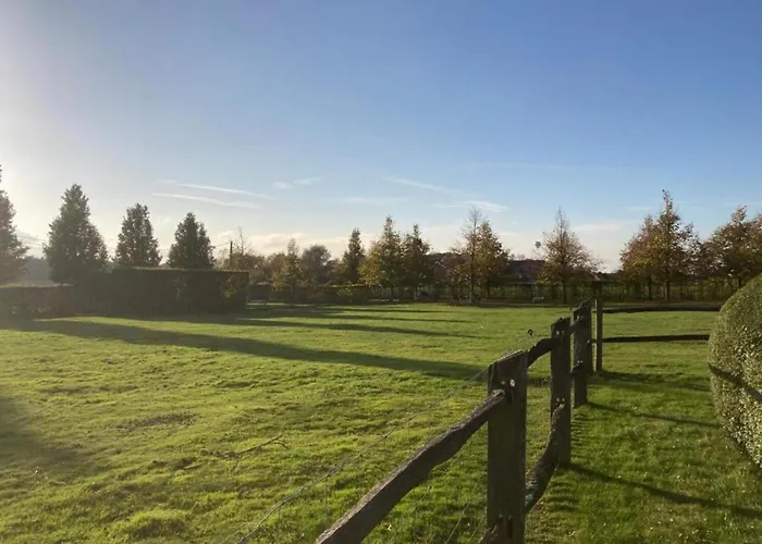 In Cul-des-sarts Near Forest Riezes